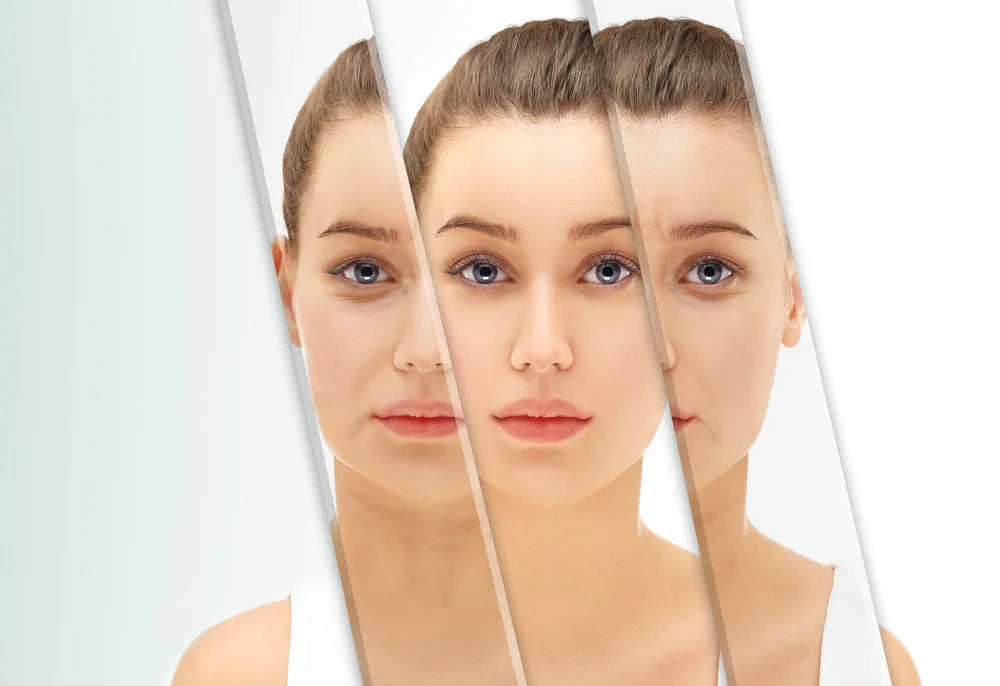 Why Skin Elasticity Reflects Structural Health