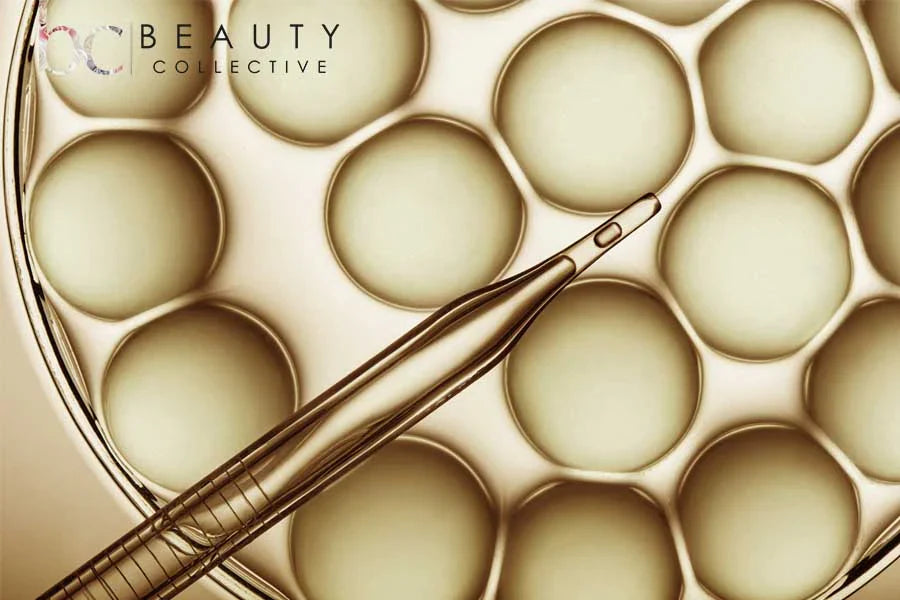 Why Youthful‑Looking Skin Is Built Through Consistent Support